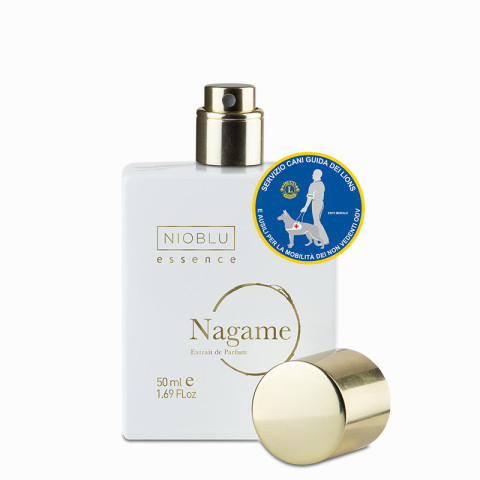 Nagame - Spende Lions