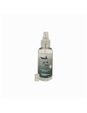 Spray Igienizzante Mani 100 ml